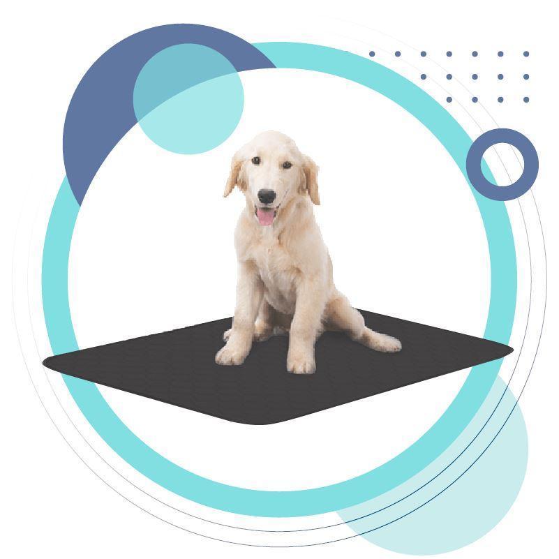 Pets Earthing Mat - Cats & Dogs - REJUVENATIONIST